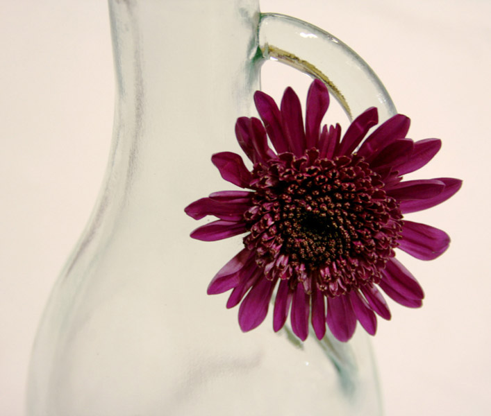 FLOWER AND VASE by Deena Theaker